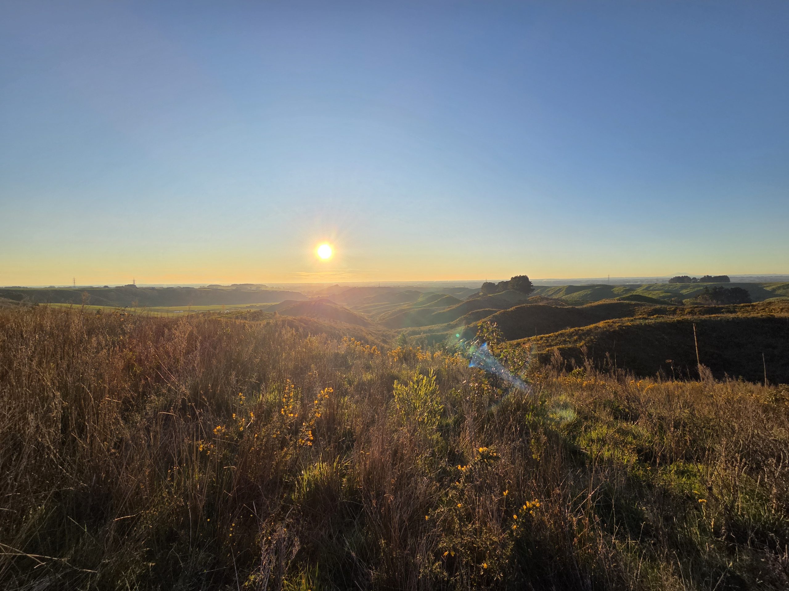 New Zealand’s ETS Changes and Tāmata Hauhā’s Kaupapa